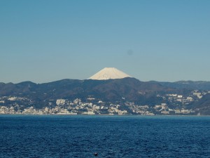 141223_02401