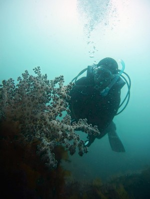 初島で相川さん